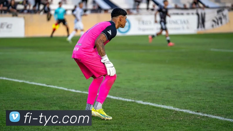 App Interface Preview